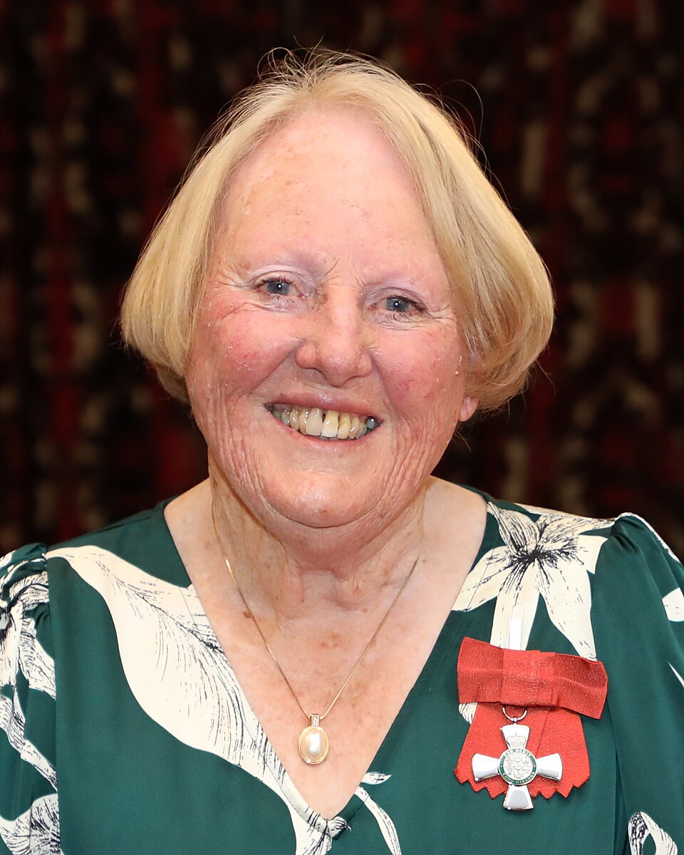 Illustration: Certified Coaching vs Self-Taught: Why Professional Training Matters