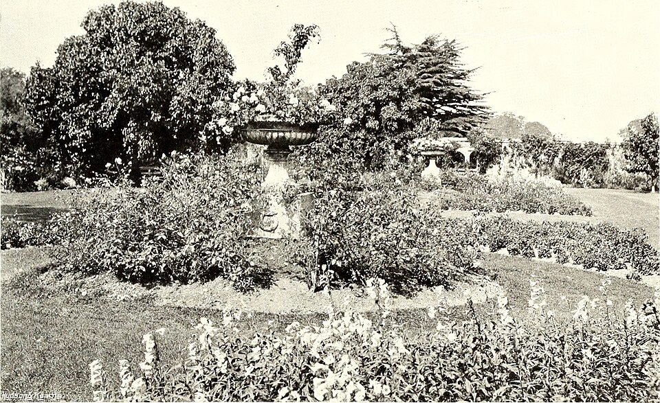 Illustration: Frequently Asked Questions About Outdoor Bowls Court Dimensions