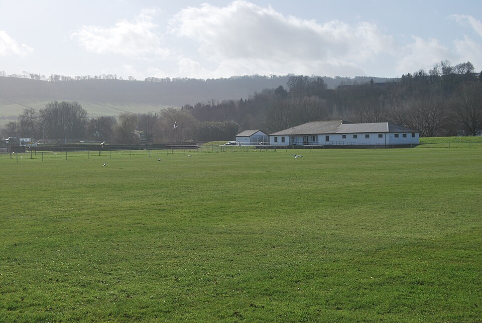 Illustration: Professionalization and Regional Expansion (1969-2008)