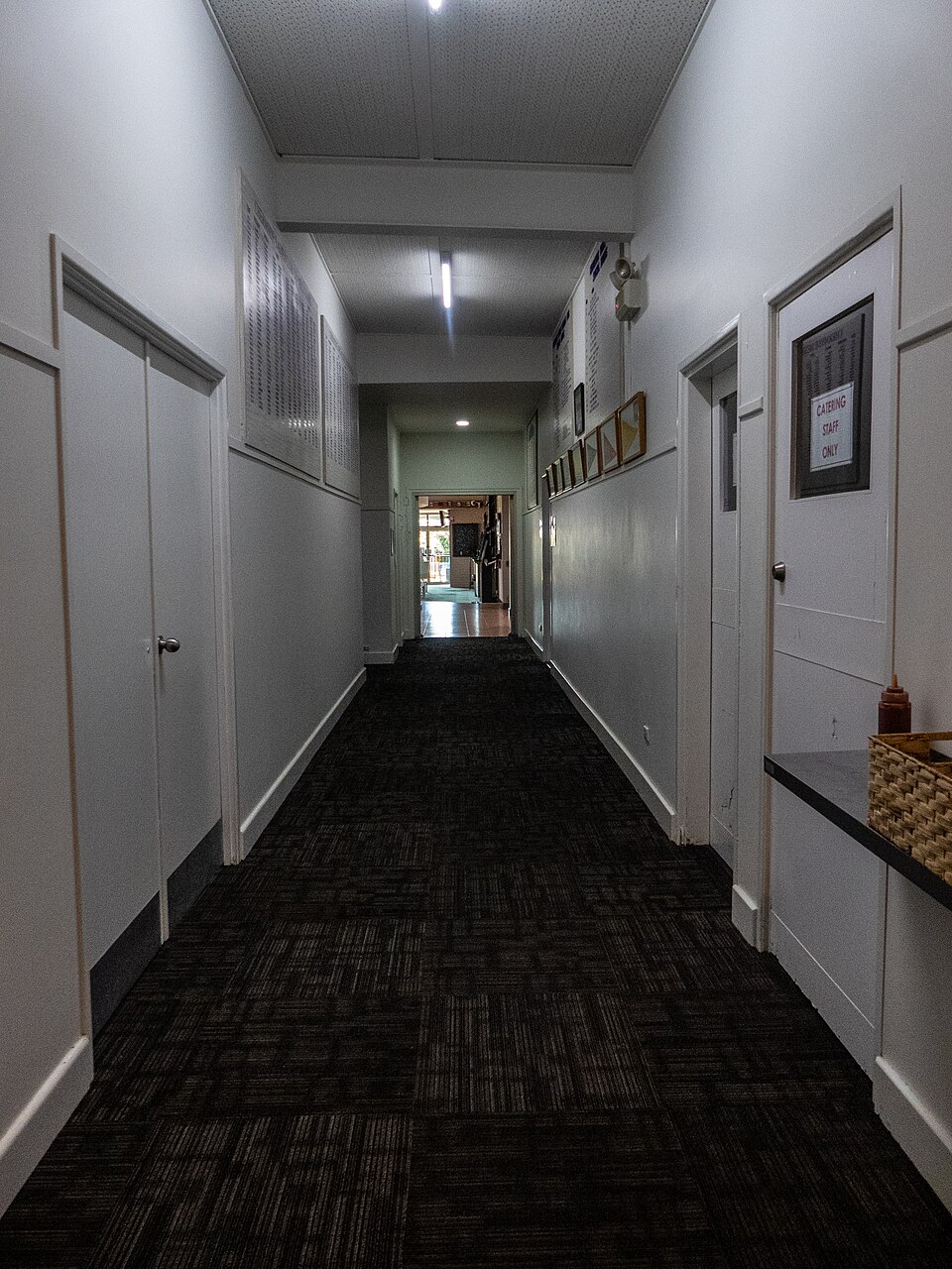 Illustration: What to Expect as a New Member